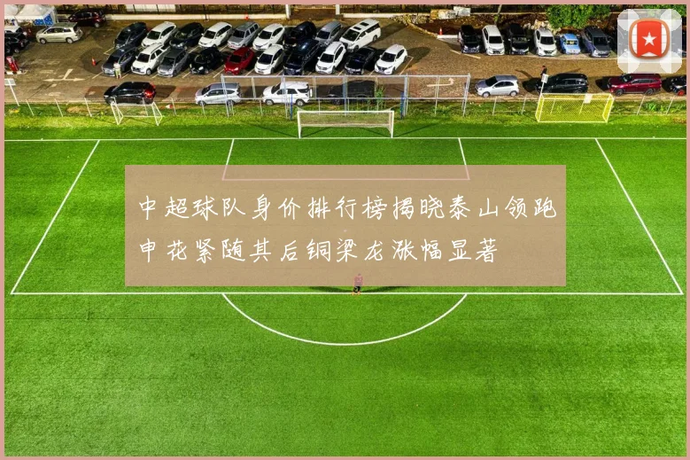 中超球队身价排行榜揭晓泰山领跑申花紧随其后铜梁龙涨幅显著