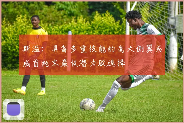 斯温：具备多重技能的高大侧翼或成首轮末最佳潜力股选择