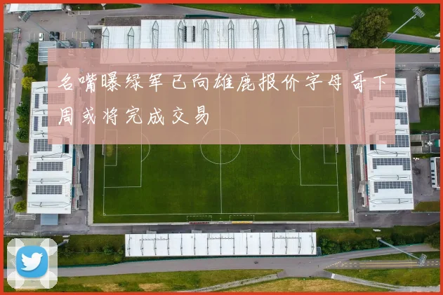 名嘴曝绿军已向雄鹿报价字母哥下周或将完成交易